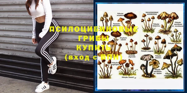 мдпв Арсеньев