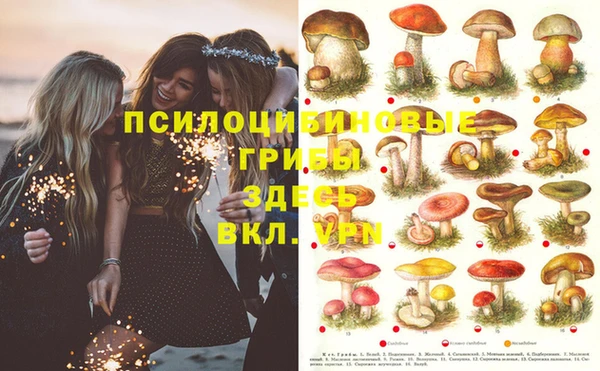 марки lsd Аркадак