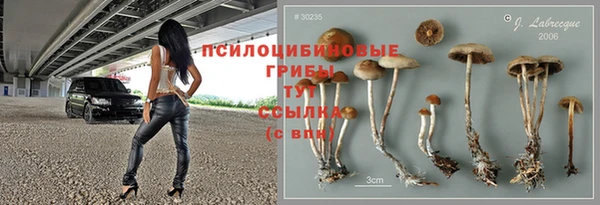 марки lsd Аркадак